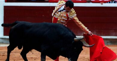 Proponen reformar la Ley para frenar las corridas de toros en Tamaulipas