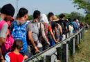 Tamaulipas se prepara ante posible crisis migrante